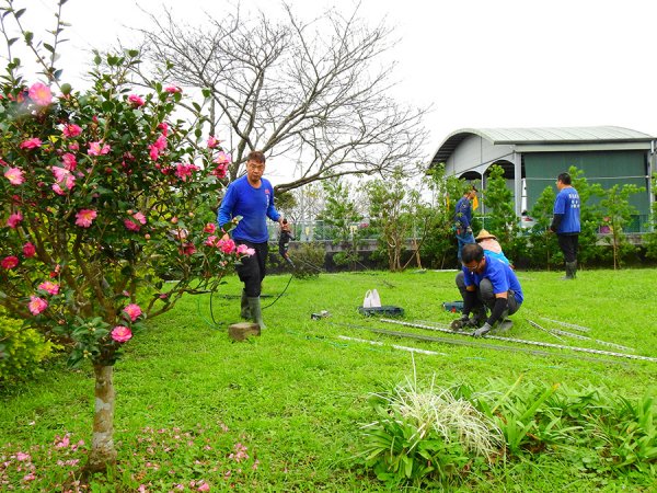宜蘭園藝 芊翠園藝