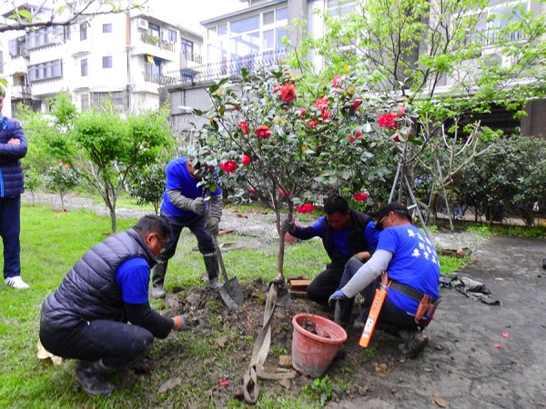 宜蘭園藝 芊翠園藝