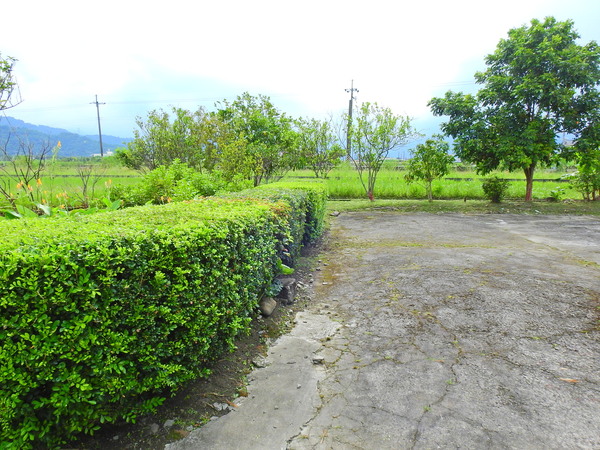 宜蘭園藝 宜蘭園藝 芊翠園藝 翠庭園藝 三星傳統農舍園藝固定維護