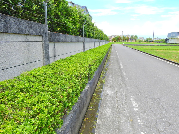 宜蘭園藝 宜蘭園藝 芊翠園藝 翠庭園藝 羅東別墅園藝固定維護