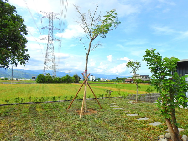 宜蘭園藝 芊翠園藝 翠庭園藝 三星上將路三段 微觀藝術 新廠庭園景觀園藝造景工程