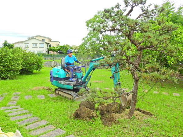 宜蘭園藝 芊翠園藝 翠庭園藝 黑松醫療行程(員山鄉)